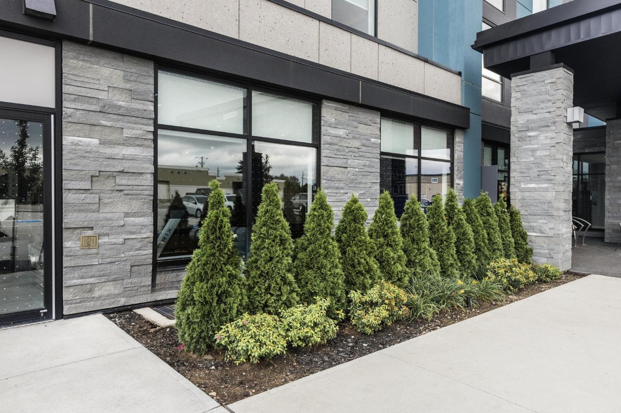 Holiday Inn Express & Suites - Toronto Airport South By Ihg Zewnętrze zdjęcie